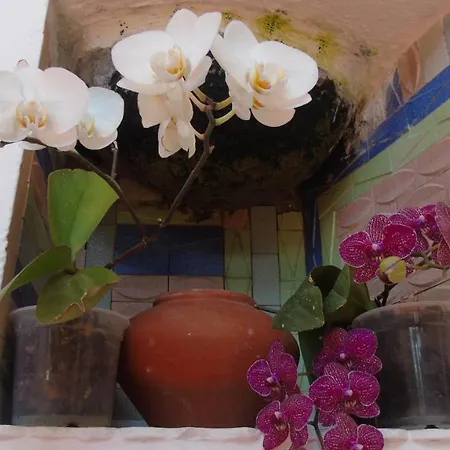 Auberge de jeunesse La Casita De Estrella *